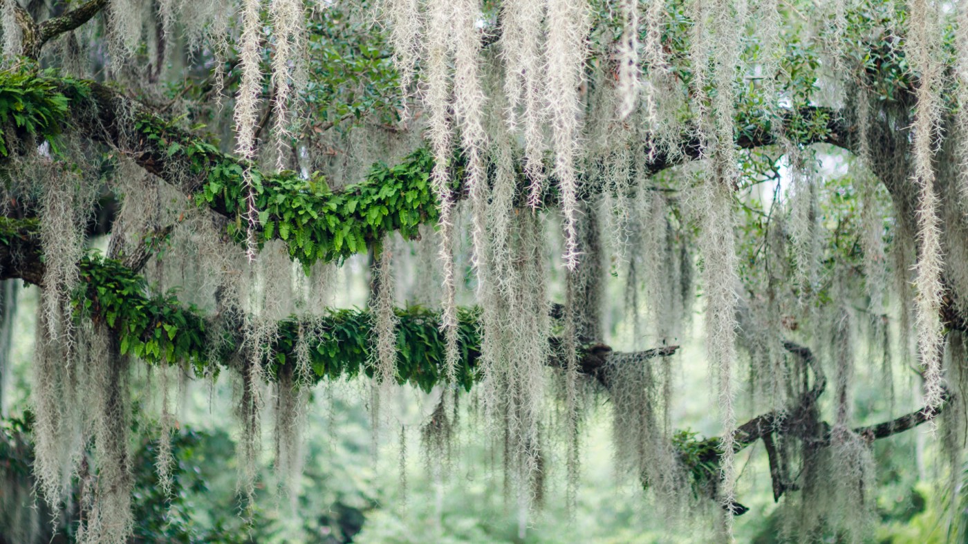 Where Death & Beauty Meet
